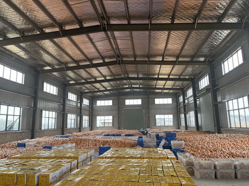 常山胡柚进入最佳赏味期 双柚 产品迎来销售旺季