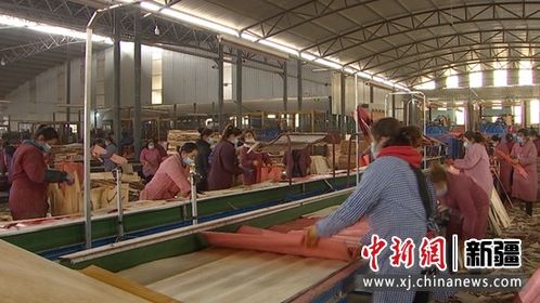 新疆阿克苏市 2.15万农村 4050 劳动力稳定就业