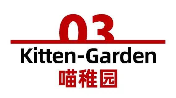 第二届tops它博会最新规划发布,有哪些内容值得期待