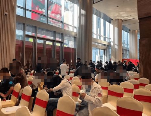 卖出417套,去化65 ,收金29亿 中洲迎玺花园85折开盘
