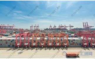 中国7月进出口增速双双下滑,澳元承压处于守势